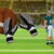 American Football Challenge