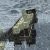 Cargo Truck Montain Simulator