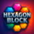 Hexagon Block Puzzle Game
