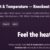 Physics: Heat Temperatuie Quiz